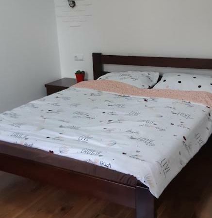 Transfer Apartment Lviv Exterior foto