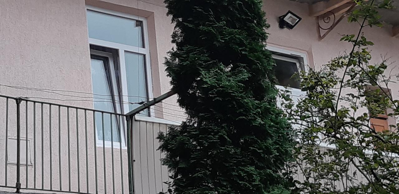 Transfer Apartment Lviv Exterior foto