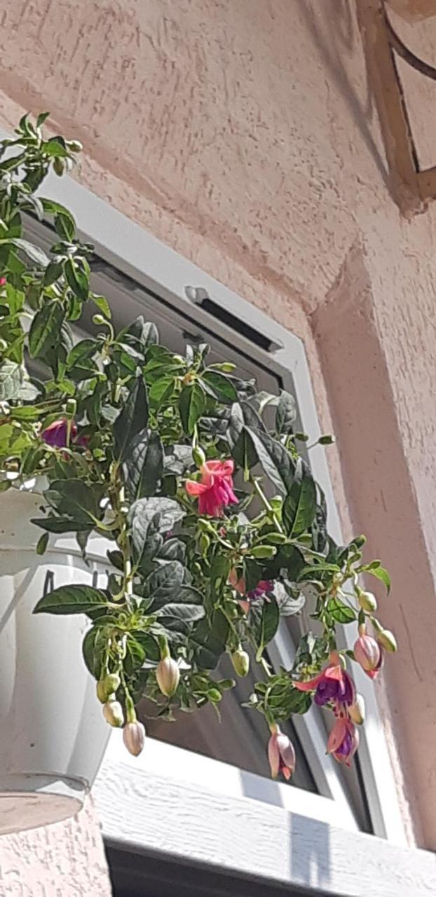 Transfer Apartment Lviv Exterior foto